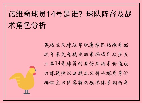 诺维奇球员14号是谁？球队阵容及战术角色分析